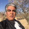 Nasser Samadi 的头像