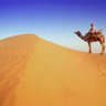 أبو عبدالله profil fotoğrafı