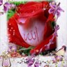 Фото профиля Mahmood