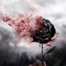 ᗰᑌᑕIᘔ3 🌷 的头像