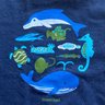 海空瑠's profile picture