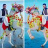 Profilbild von Syed zararr Hussain shah