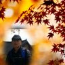 가라지's profile picture