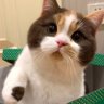 sqbxcmgxyyy profil fotoğrafı