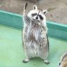 もときち◢⁴⁶'s profile picture