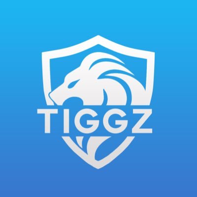 TIGGZVids's profile picture