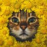 hunao profil fotoğrafı