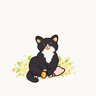 우주베이비⭐️입양홍보중동물알티계's profile picture