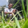 Profilbild von Abdul salum