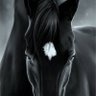 Profilbild von Yorgun Trader