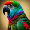 Edouard 🤍💫 的头像