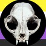Gato Listillo 💀 Sonny/Kris🔪 profil fotoğrafı