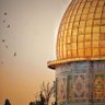 Фото профиля محمد