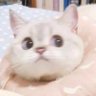 画船听雨眠 的头像