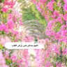 Profilbild von عريب العتيبي / كبرُوا ليبلغ تكبيركم عنان السماء