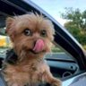 Eddyzo Official profil fotoğrafı