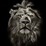 .'s profile picture