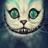 Profilbild von Gato Da Maconha
