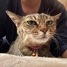 みーーーー profil fotoğrafı