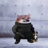 Profilbild von Andre