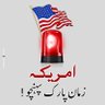Syeda Amna's profile picture