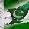 Shahzad 🇵🇰's profile picture