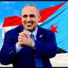 محمد بن عاطف الهلالي 的头像