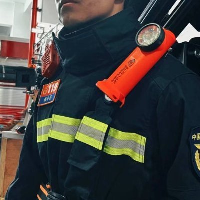 LulaHal30403794's profile picture