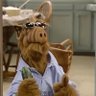 Фото профиля teddy