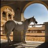 Profilbild von 🇶🇦faraj Jaber79