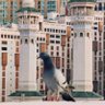 Profilbild von هنادي