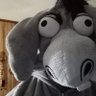 Turtle oreo's profile picture