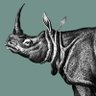 whino.the.rhino. 的头像