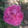 k.m2024 profil fotoğrafı