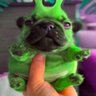 Фото профиля kero😱