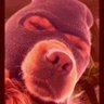🩲 آســمان‌هـا بستــه بـــود 💩's profile picture
