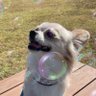 こうへい 的头像