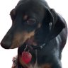 Profilbild von John