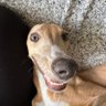 Фото профиля Sven