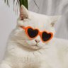 😋Zero😎Zone's profile picture