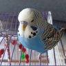 nur profil fotoğrafı