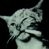 Cat90Z's profile picture