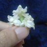 HumaSundal79 的头像