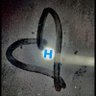 Hagar Farhat's profile picture