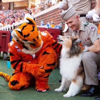 🐅T.G. Tiger👍🏼's profile picture