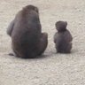 Фото профиля 無名(穂積)⑅︎ᩥ𞄵•ܸ · •ܸ⑅︎ᩥ𞄵