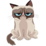 loganstk's profile picture