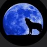 Astralwolves's profile picture