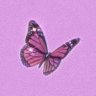 lctgqwy's profile picture