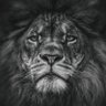 Pradeep🇮🇳 profil fotoğrafı